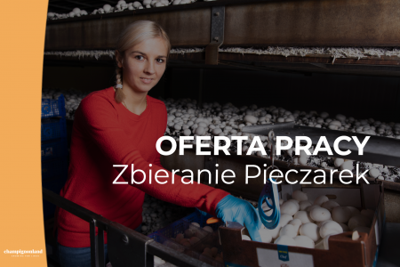 Vacature_Oogstmedewerker_PL.png