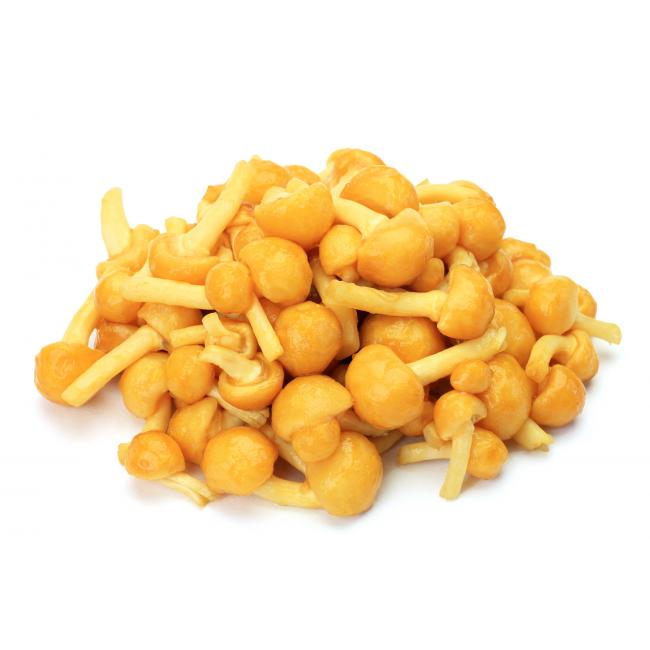 Łuskwiak nameko