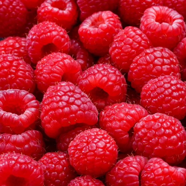 Maliny
